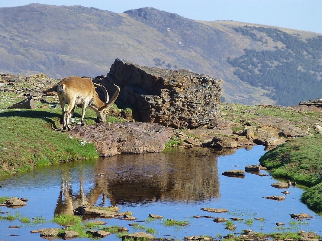 Day Walking Tours to mountain lakes of the high Sierra Nevada, Spain